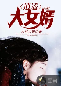 《逍遥大女婿》封面