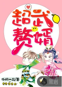 《超武赘婿》小说封面
