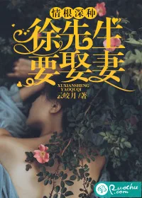 《情根深种:徐先生要娶妻》小说封面
