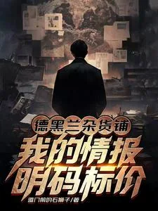《德黑兰杂货铺:我的情报明码标价》小说封面