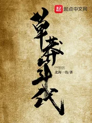 《草莽年代》小说封面