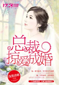 《总裁掠爱成婚》封面