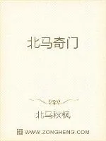 《北马奇门》封面