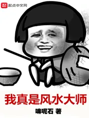 《我真是风水大师》封面