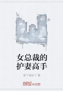 《女总裁的护妻高手》封面