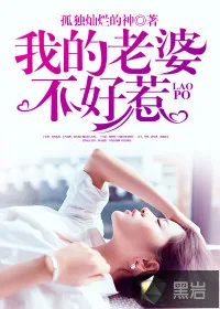 《我的老婆不好惹》封面