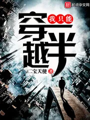 《我只能穿越一半》封面