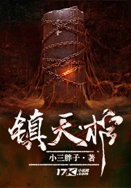《镇天棺》封面