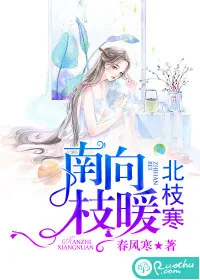 《南枝向暖北枝寒》封面
