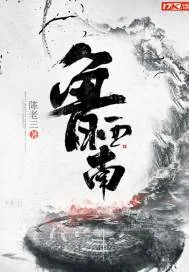 《鲁西南》封面