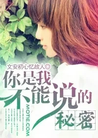 《你是我不能说的秘密》封面