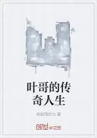 《叶哥的传奇人生》封面