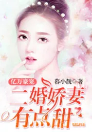 《亿万豪宠：二婚娇妻有点甜》封面