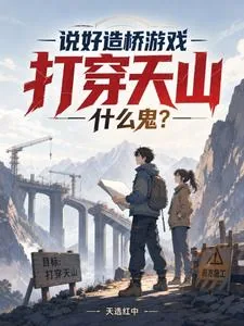 《说好造桥游戏，打穿天山什么鬼？》封面