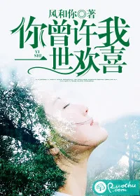 《你曾许我一世欢喜》小说封面