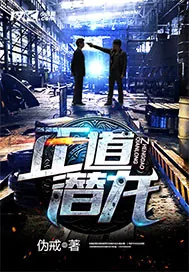 《正道潜龙》小说封面