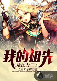 《我的祖先是沈万三》封面