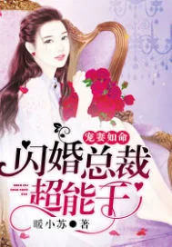 《宠妻如命：闪婚总裁超能干》封面