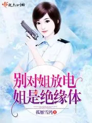 《别对姐放电，姐是绝缘体》封面