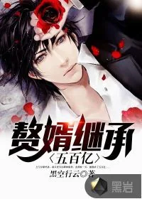 《赘婿继承五百亿》封面