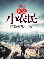 《神镜小农民》封面