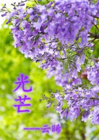 《光芒》封面