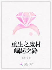 《重生之废材崛起之路》封面