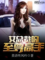 《女总裁的至尊高手》封面