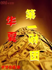 《华夏第一财团》封面