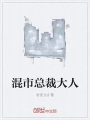 《混市总裁大人》封面