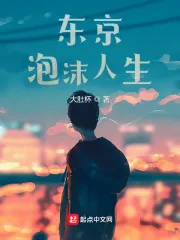 《东京泡沫人生》小说封面