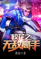 《校花之无敌高手》封面