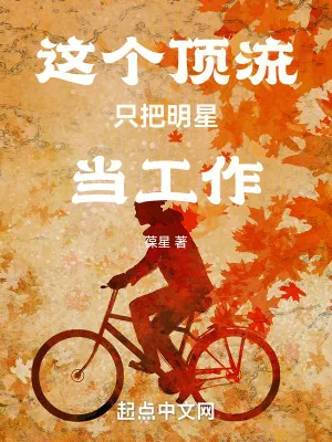 《这个顶流只把明星当工作》小说封面