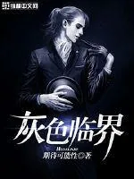 《灰色临界》封面