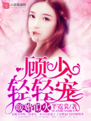 《暖婚似火：顾少，轻轻宠》封面
