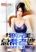 《我的完美总裁老婆》封面