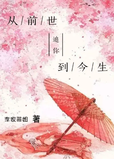 《从前世追你到今生》封面