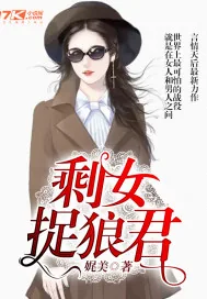 《剩女捉狼君》封面