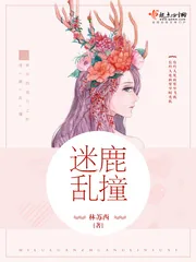《迷鹿乱撞》封面