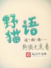 《野猫语》封面
