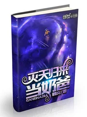 《灭天归来当奶爸》封面