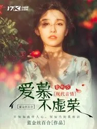 《爱慕不虚荣》小说封面