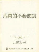 《我真的不会使剑》封面
