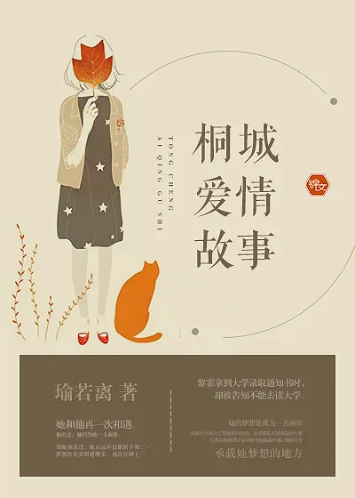 《桐城爱情故事》封面