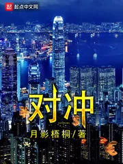 《对冲》封面