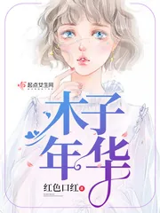 《木子年华》封面