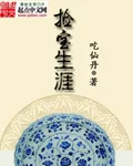 《捡宝生涯》封面
