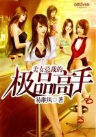 《美女总裁的极品高手》封面