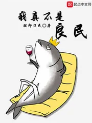 《我真不是良民》封面
