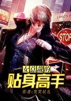 《女总裁的贴身高手》封面